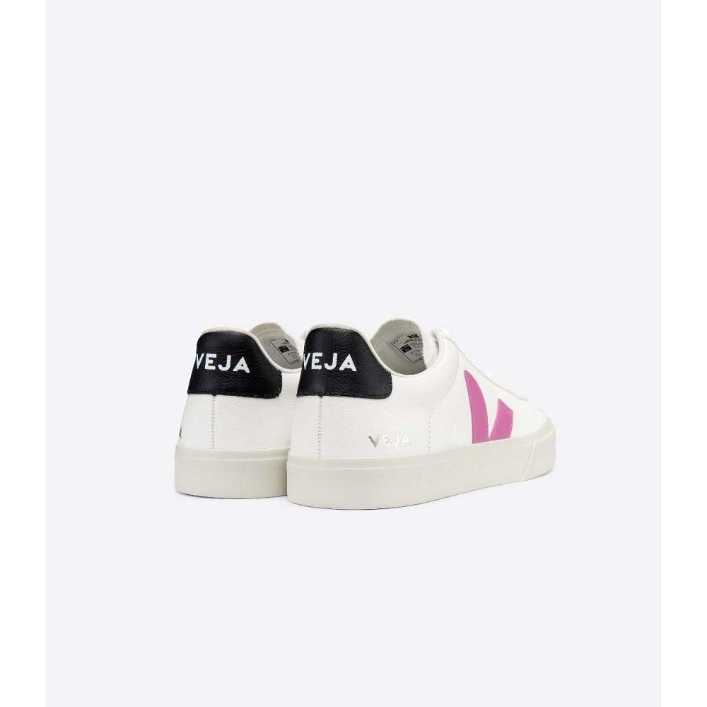 Veja CAMPO CHROMEFREE Low Tops Sneakers Dames White/Purple | BE 597FDN